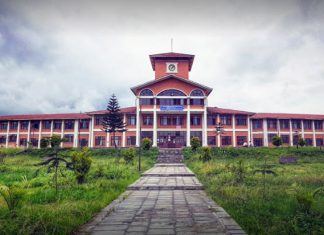 त्रिविका क्याम्पसमा अनलाइनबाट पढाउन परिपत्र