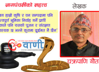 नागपंचमीको महत्व के छ र कहाँ कहाँ हुन्छ नागपूजा