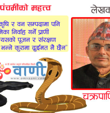 नागपंचमीको महत्व के छ र कहाँ कहाँ हुन्छ नागपूजा