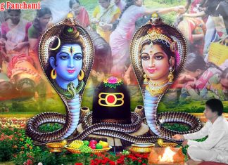नाग वंश कि सर्प ?
